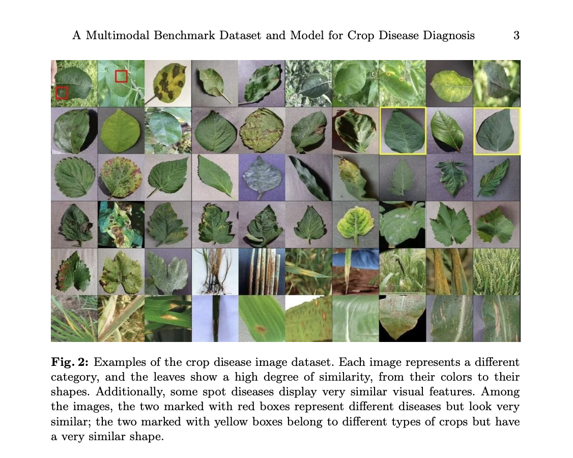 CDDM Dataset visualization